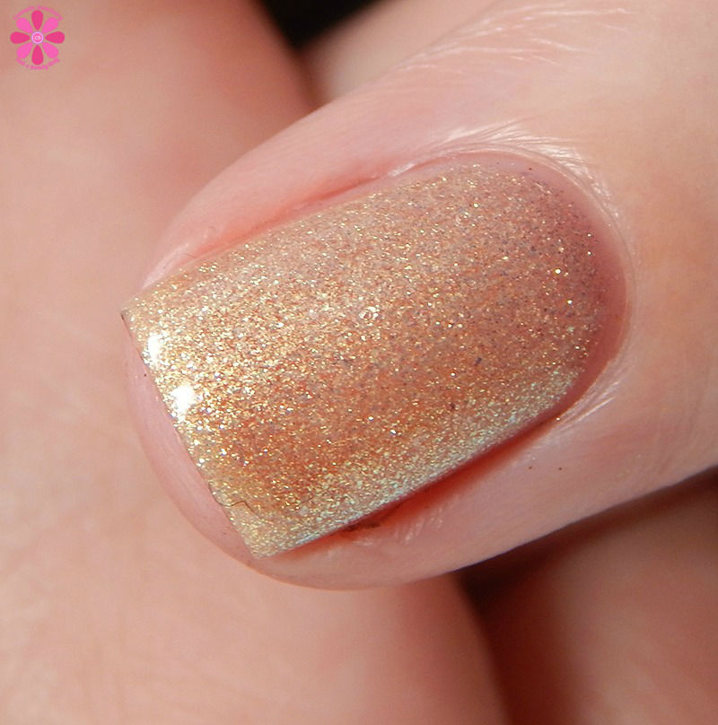 acorns-and-ashes-warm-warm-side