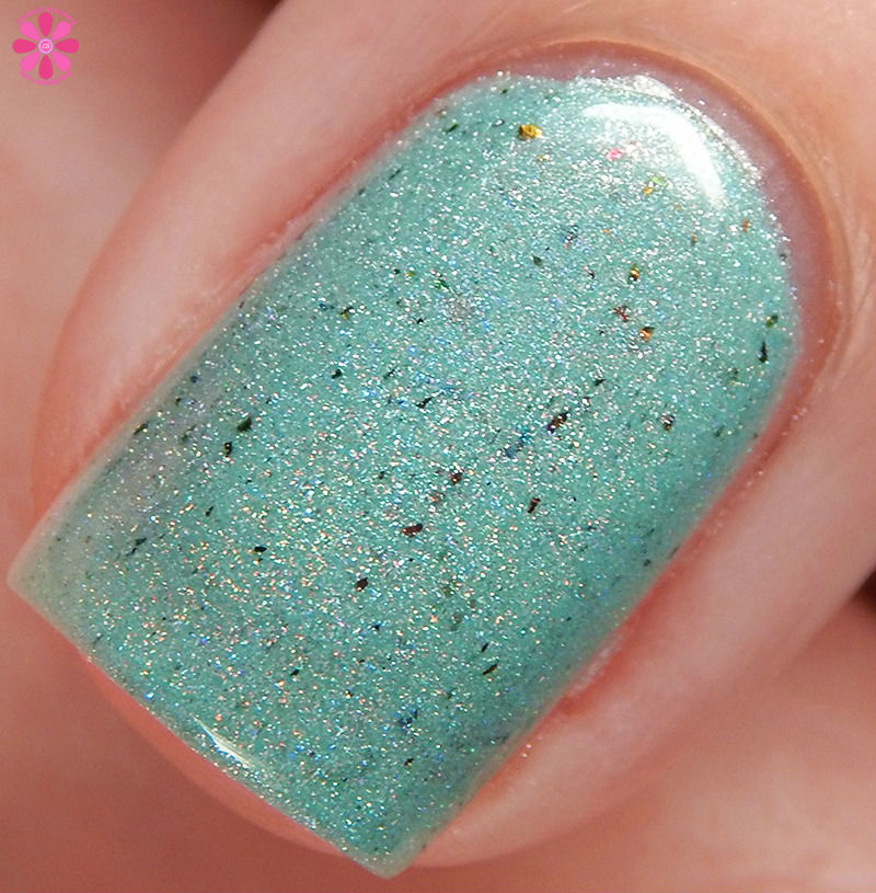 Emily de Molly Fact Sheet Macro