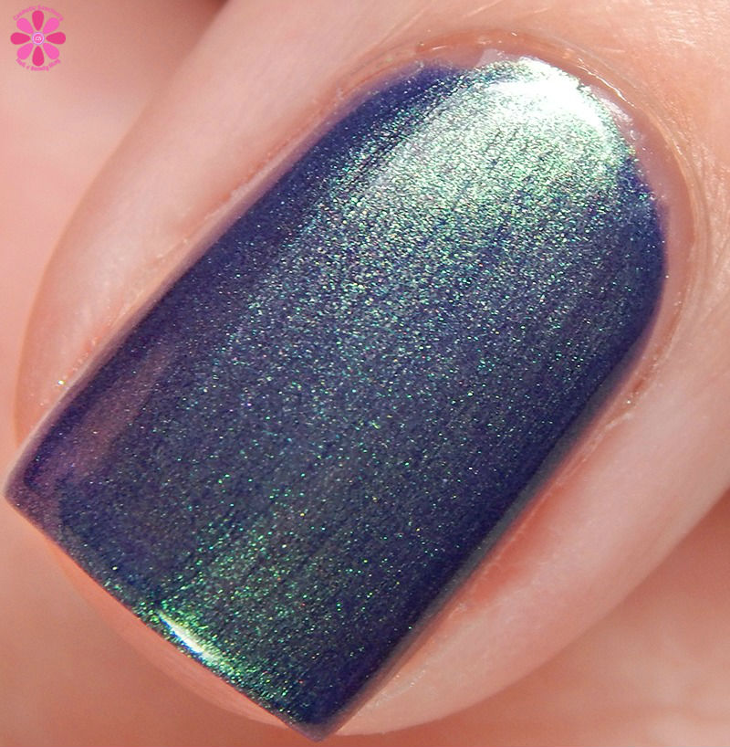 Emily de Molly From Out of Nowhere Macro