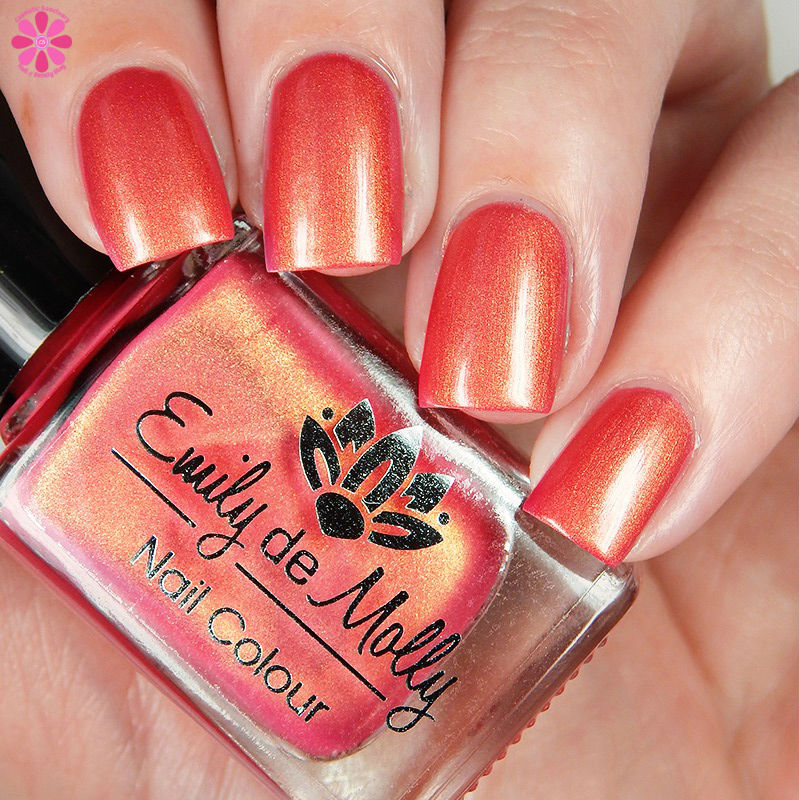 Emily de Molly Melt Down Down