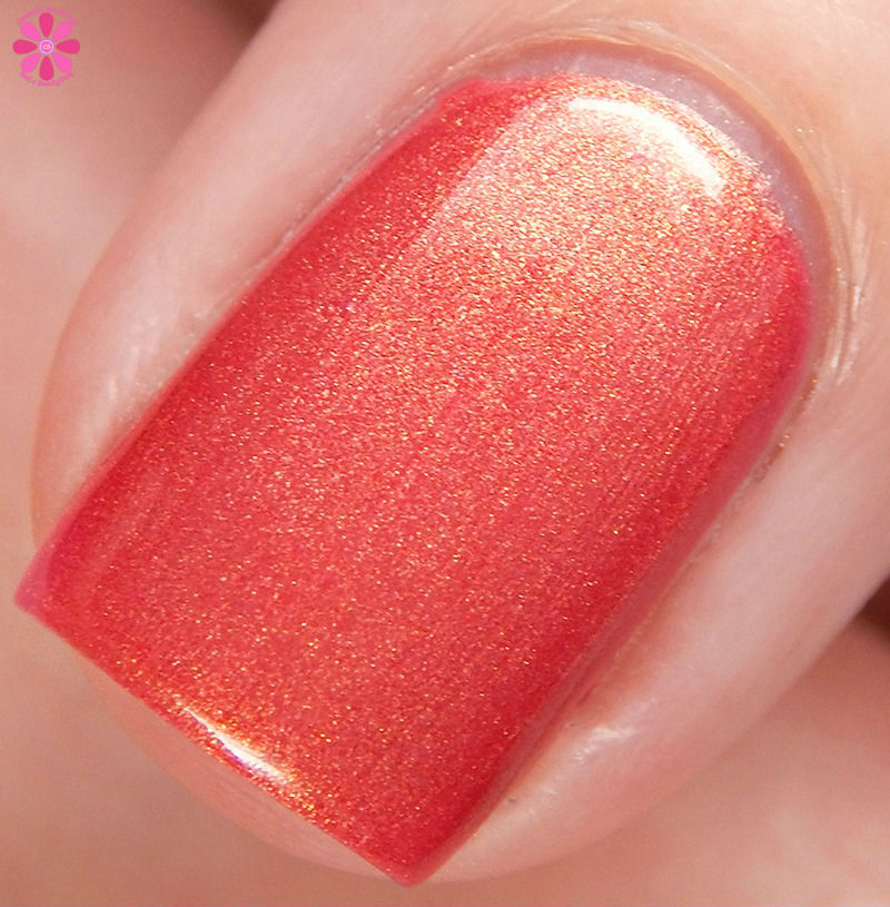 Emily de Molly Melt Down Macro