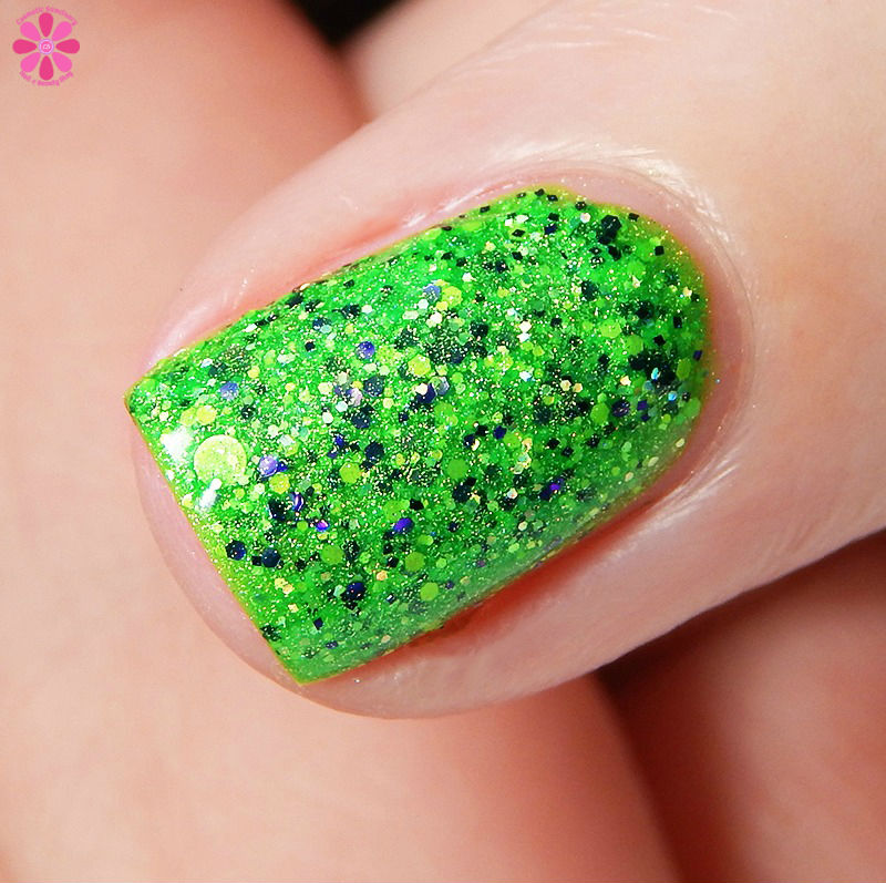 frankenslime-2016-macro