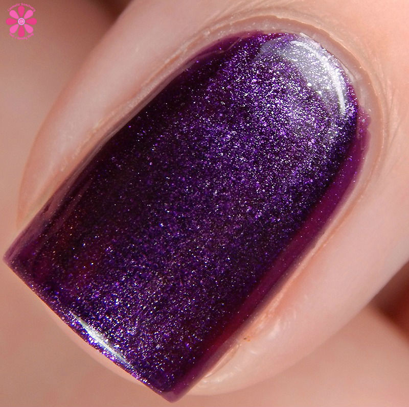 rule-31-check-the-backseat-macro