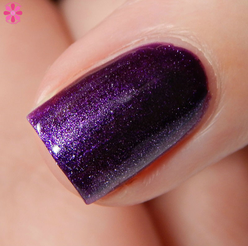 rule-31-check-the-backseat-side