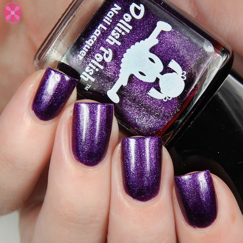 rule-31-check-the-backseat-up