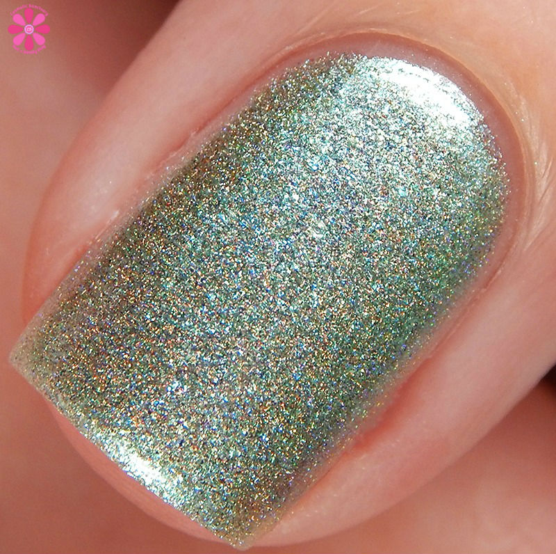 Swam With A Narwhal Macro