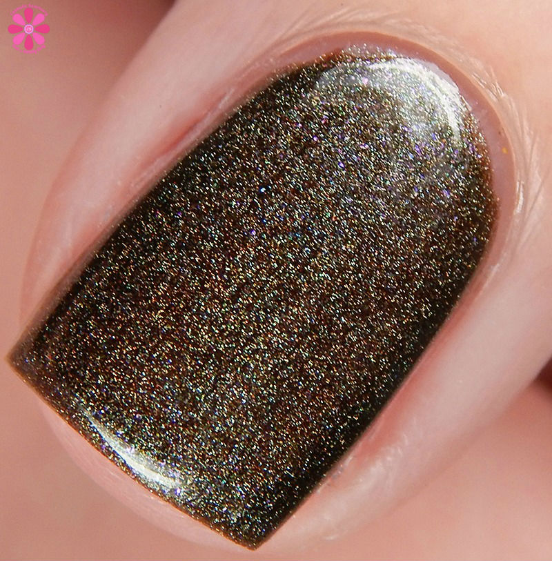 the-road-less-traveled-macro