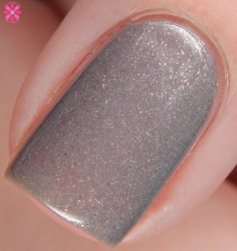 everyday-im-truffling-macro