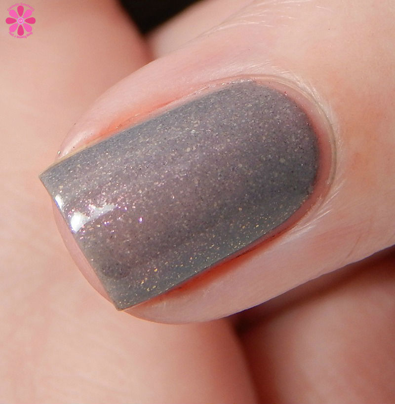 everyday-im-truffling-side