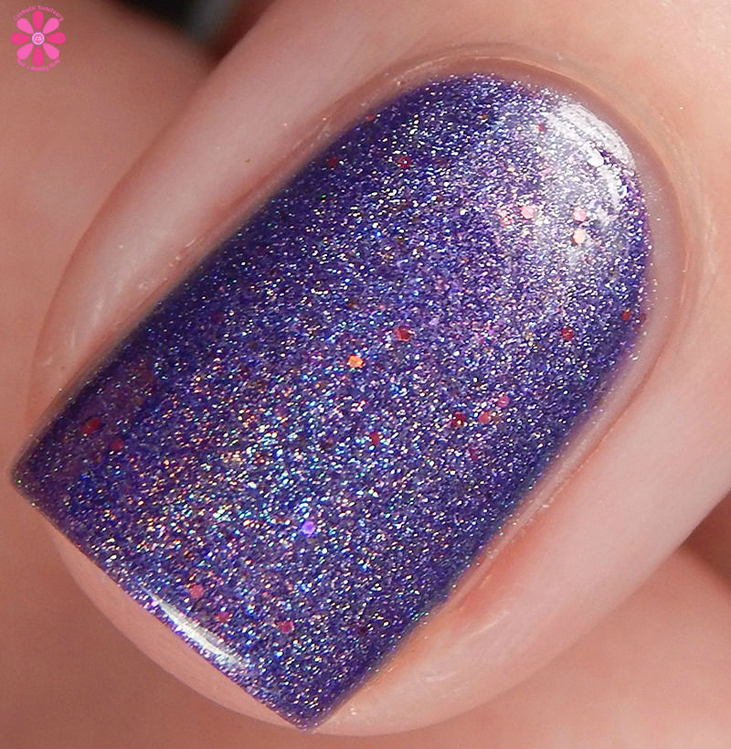 glisten-and-glow-purple-grenadier-macro