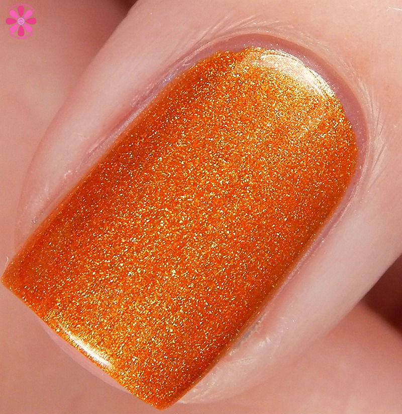orange-pippin-macro