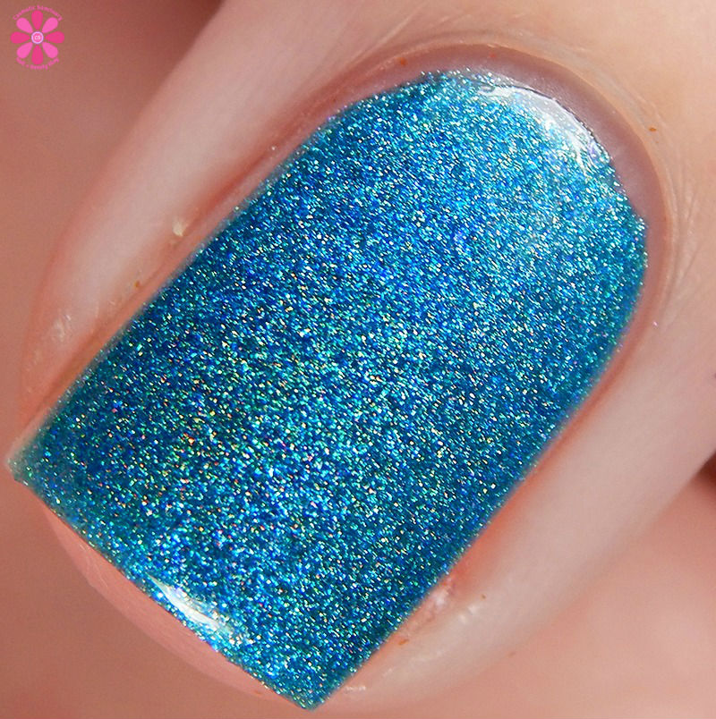 pahlish-blue-raspberry-banshee-macro