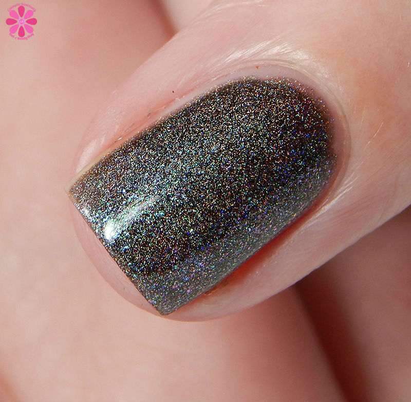 pahlish-salted-licorice-snakes-side