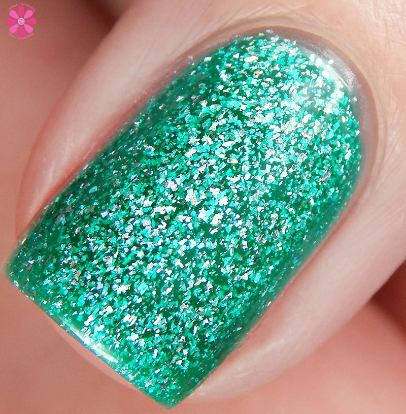 paraiba-macro