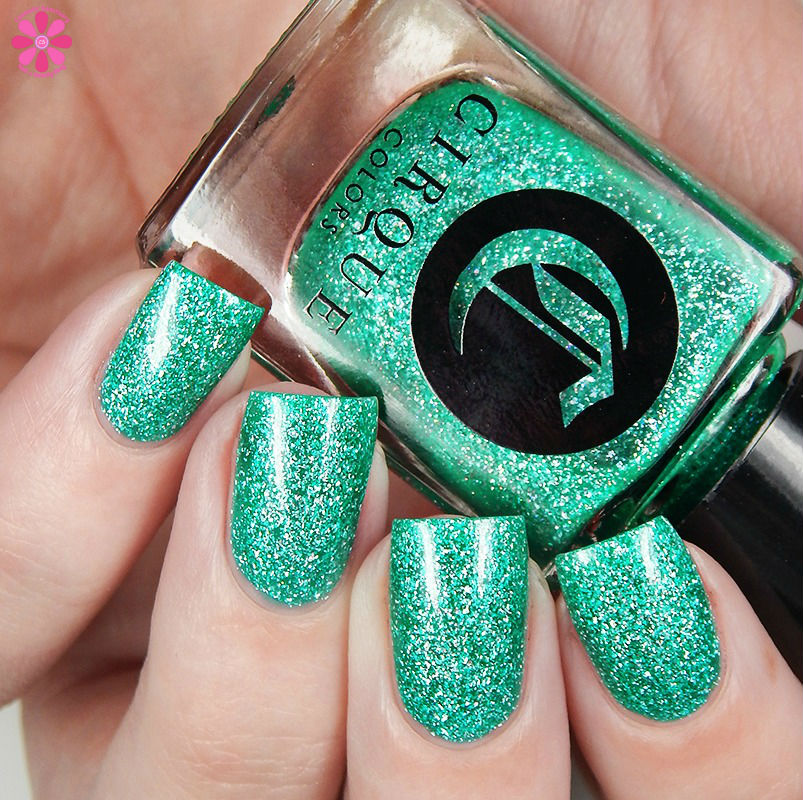 paraiba-up