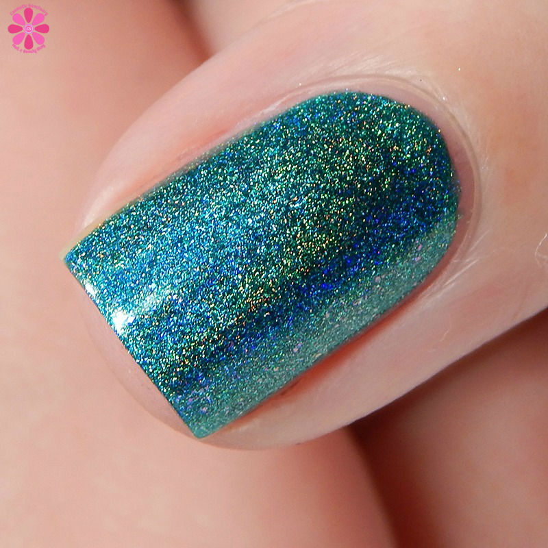 shimmer-me-timbers-side