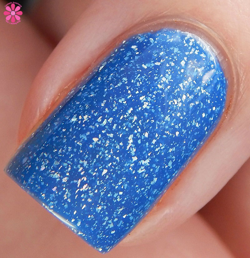 superior-macro