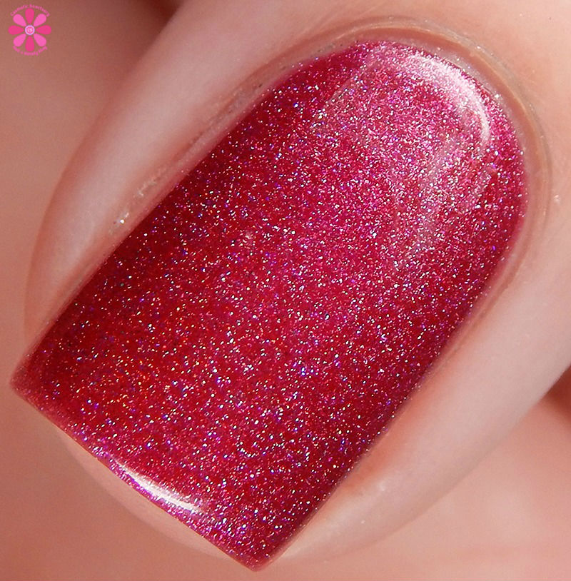 the-fuchsia-is-ours-macro