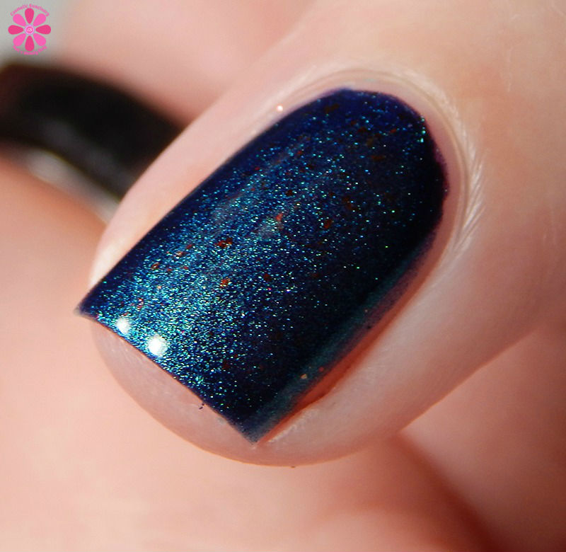 twenty-second-dynasty-side-macro