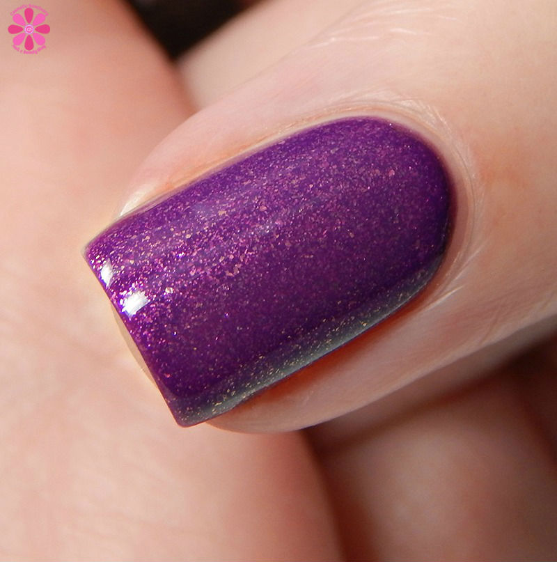 orly-celebrity-spotting-macro