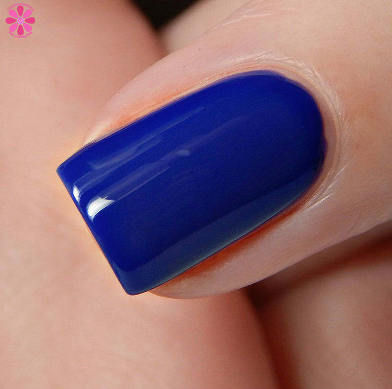 orly-the-whos-who-macro